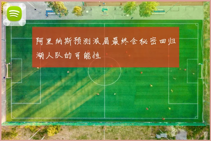 阿里纳斯预测浓眉最终会秘密回归湖人队的可能性