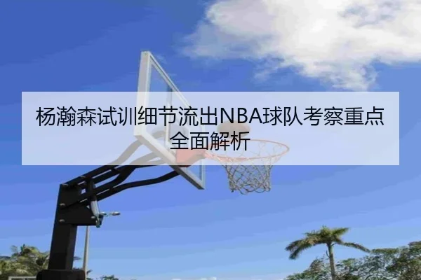 杨瀚森试训细节流出NBA球队考察重点全面解析